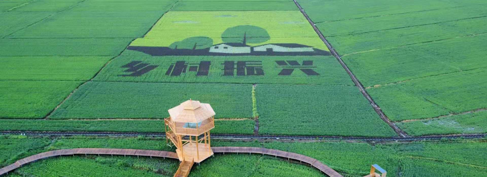 牡丹江市中興村：走出“農旅結合”新路子
